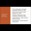 Онлайн-програма European Union Studies в Латвійському Університеті
