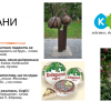 КИЇВ У МОВНІЙ СВІДОМОСТІ КИЯН: АСОЦІАТИВНИЙ СЛОВНИК МІСТА