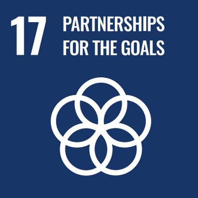 SDG17