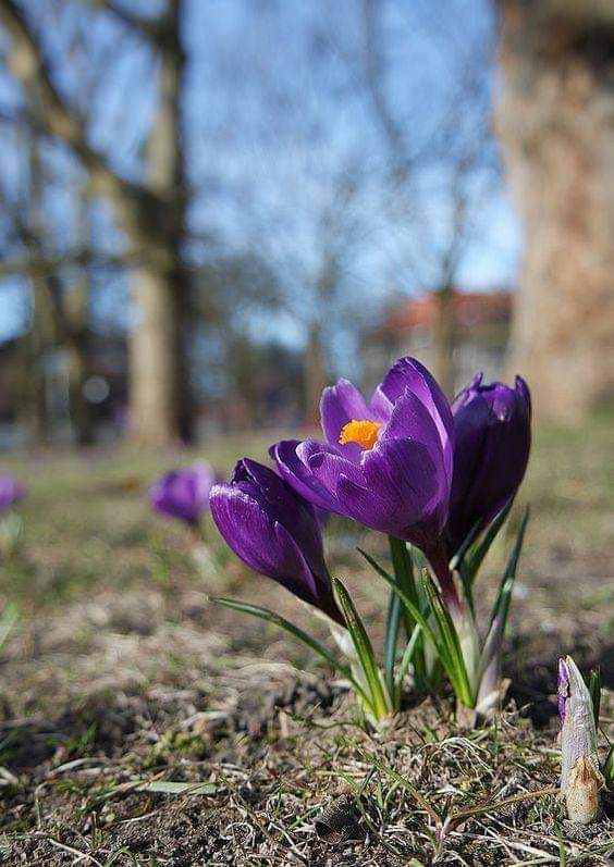 FB IMG 1708865133119