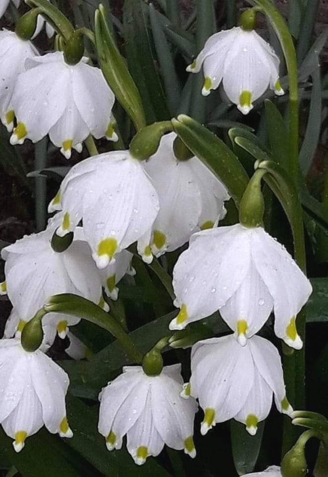 FB IMG 1708865149596