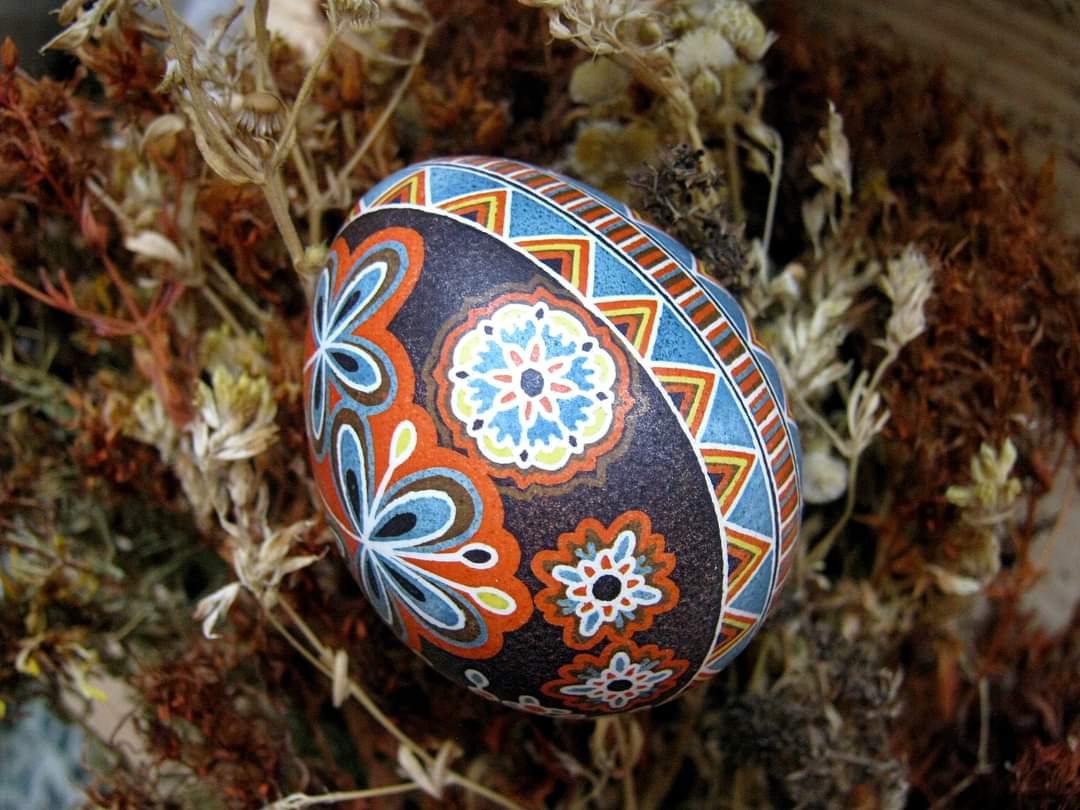 FB IMG 1681039022304