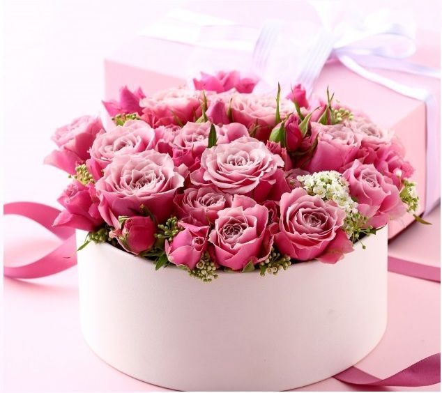 7cba6ed8168f7beea0ee76d91c0495c1